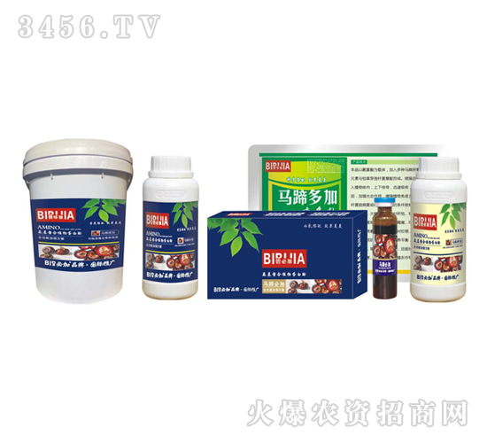 馬蹄必加-鑫禾生物