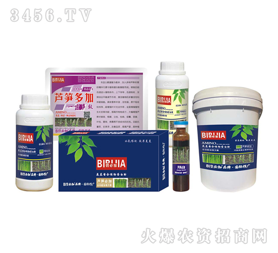 蘆筍必加-鑫禾生物
