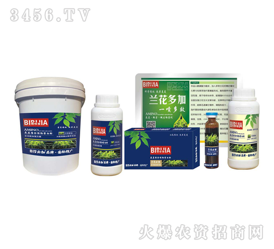 蘭花必加-鑫禾生物