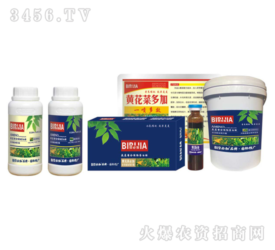 黃花菜必加-鑫禾生物