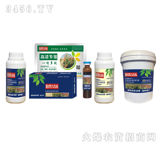 高粱必加-鑫禾生物