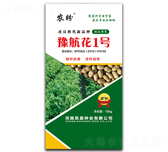 豫航花1號花生種子（原種）-農(nóng)盼-凱晨種業(yè)