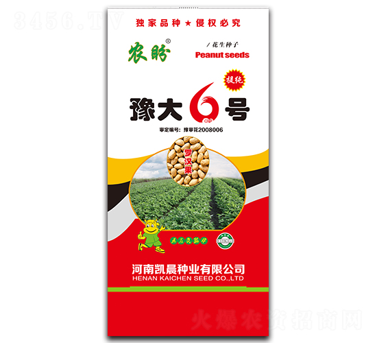 豫大6號花生種子（羅漢果）-農(nóng)盼-凱晨種業(yè)