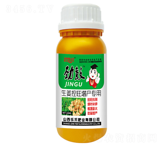 生姜控旺增產(chǎn)專用肥-勁鼓-樂禾肥業(yè)