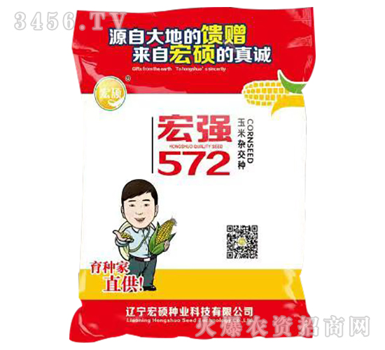 宏強572-玉米雜交種-宏碩種業(yè)