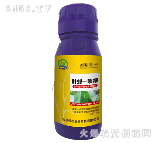 茶小綠葉蟬專用溶解劑-葉蟬一噴凈-強農(nóng)生物