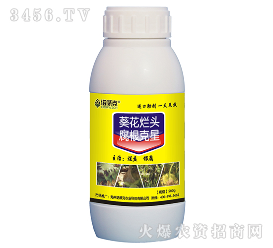 葵花爛頭腐根克星-諾威克