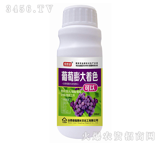 葡萄膨大著色-綠速藏-長(zhǎng)豐