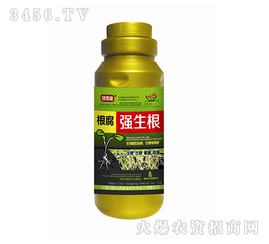 根腐強生根-綠速藏-長豐