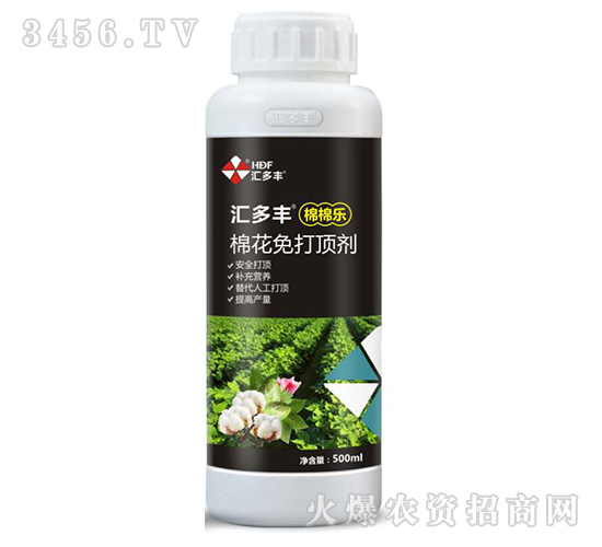 æ£‰èŠ±å…æ‰“é ‚åŠ‘-æ£‰æ£‰æ¨‚-åŒ¯å¤šè±
