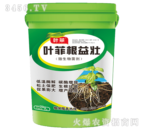å¾®ç”Ÿç‰©èŒåŠ‘-è‘‰è²æ ¹ç›Šå£¯-è‘‰è²