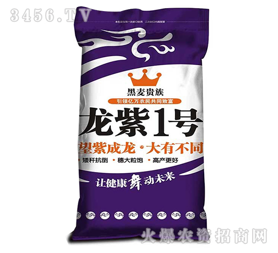 龍紫1號(hào)-黑麥貴族-龍大種業(yè)