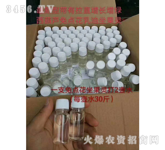 è¥¿è‘«è˜†å…é»žèŠ±åæžœéˆ-ç¦¾åœ£ç‘ž