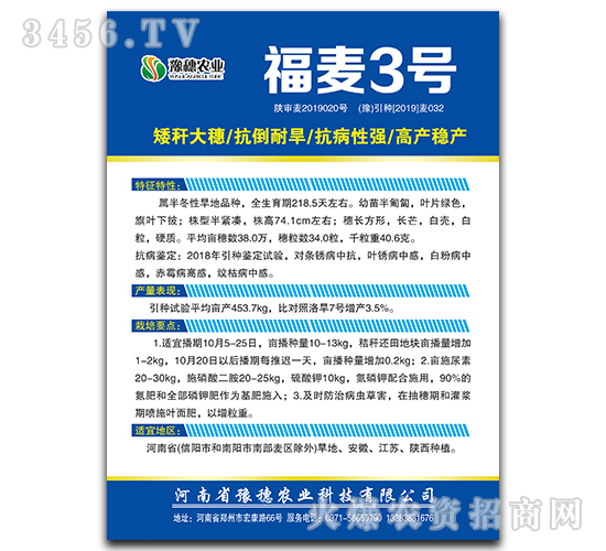 ç¦éº¥3è™Ÿ-å°éº¥ç¨®å­-è±«ç©—è¾²(nÃ³ng)æ¥­(yÃ¨)