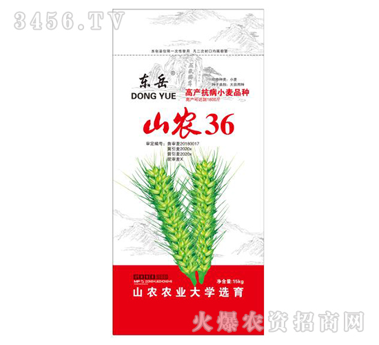 山農36-小麥種子-東岳