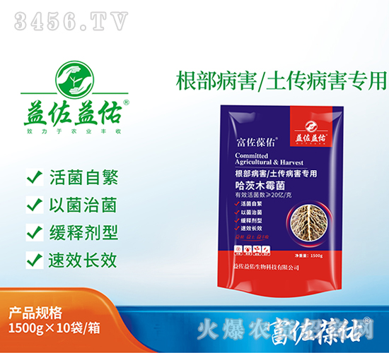 å“ˆèŒ¨æœ¨éœ‰èŒ-å¯Œä½è‘†ä½‘-ç›Šä½ç›Šä½‘