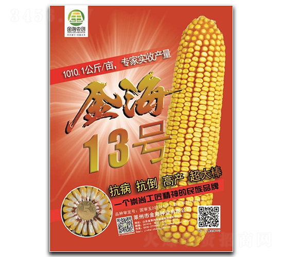 金海13號-玉米種子-金海農(nóng)創(chuàng)
