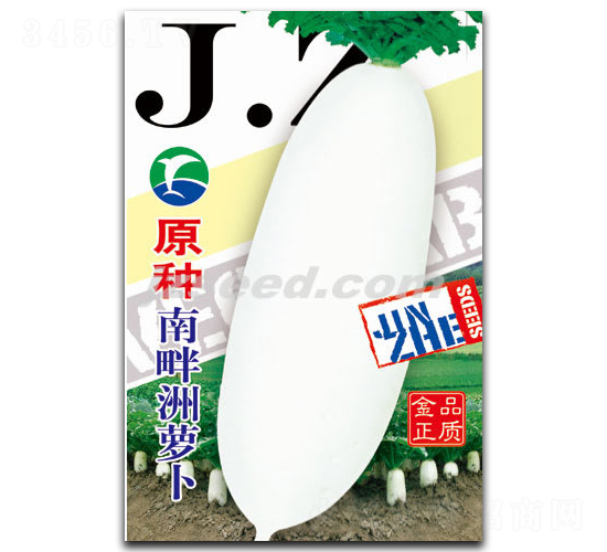 原種南畔洲蘿卜-蘿卜種子-現(xiàn)代種業(yè)