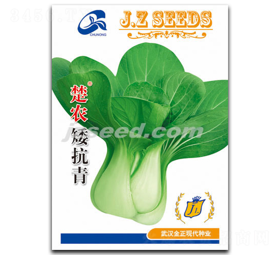 楚農(nóng)矮腳青-小白菜種子-現(xiàn)代種業(yè)