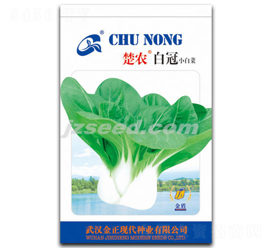 楚農(nóng)白冠-小白菜種子-現(xiàn)代種業(yè)