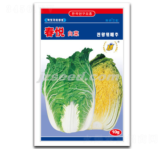 春悅-白菜種子-現(xiàn)代種業(yè)