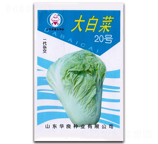 大白菜20號(hào)-大白菜種子-華良種業(yè)