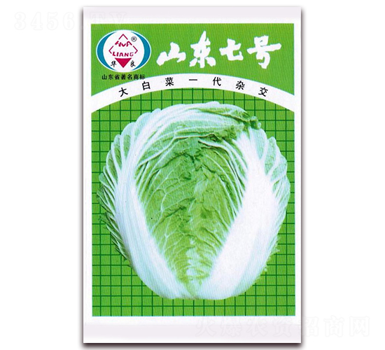 山東七號-大白菜種子-華良種業(yè)