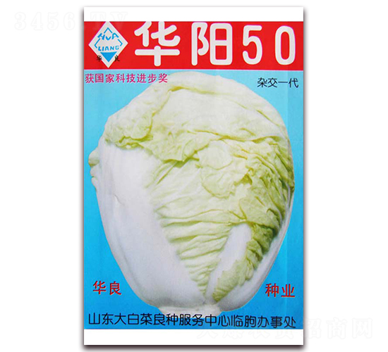 華陽(yáng)50-大白菜種子-華良種業(yè)