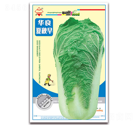 華良夏秋早-大白菜種子-華良種業(yè)