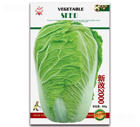 華良新改2000-大白菜種子-華良種業(yè)