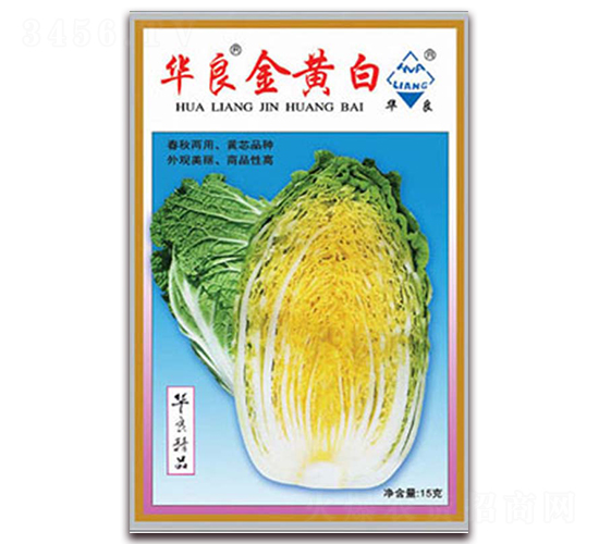 華夏金黃白-大白菜種子-華良種業(yè)