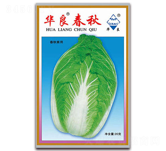 華良春秋-大白菜種子-華良種業(yè)