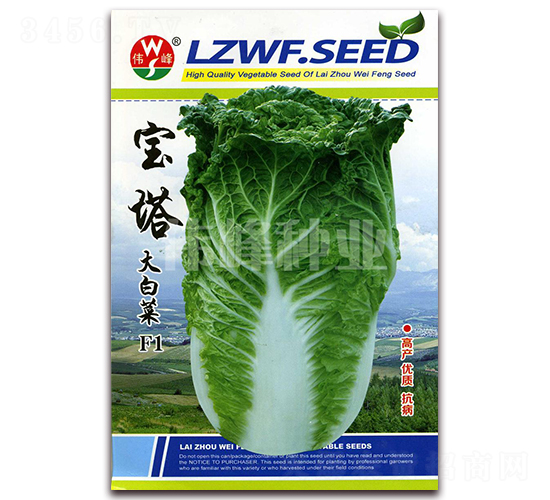 寶塔大白菜F1-白菜種子-偉峰種業(yè)