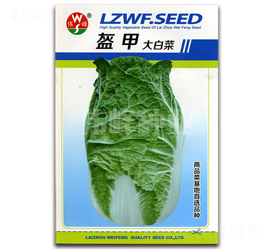 盔甲大白菜-白菜種子-偉峰種業(yè)