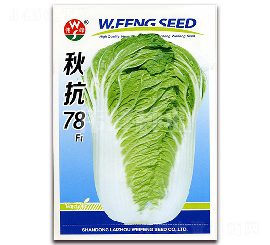 秋抗78F1-白菜種子-偉峰種業(yè)