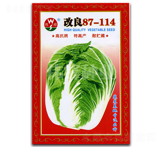 改良87-114-白菜種子-偉峰種業(yè)