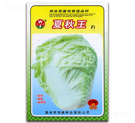 夏秋王F1-白菜種子-偉峰種業(yè)