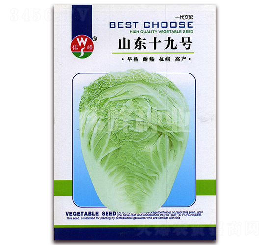 山東十九號(hào)-白菜種子-偉峰種業(yè)