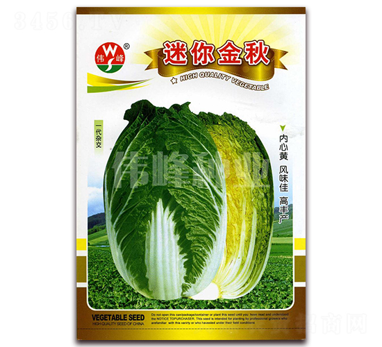 迷你金秋-白菜種子-偉峰種業(yè)