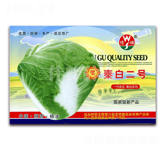 秦白二號(hào)-白菜種子-偉峰種業(yè)