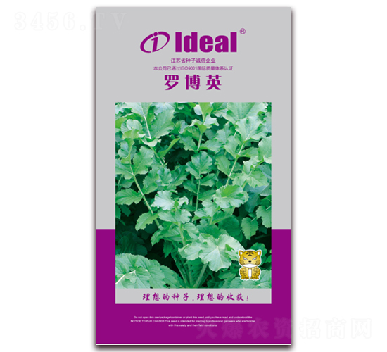 白羅博英-蘿卜種子-理想農(nóng)業(yè)