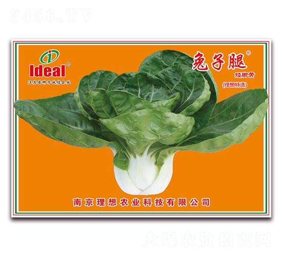 兔子腿矮腳黃-小白菜種子-理想農(nóng)業(yè)