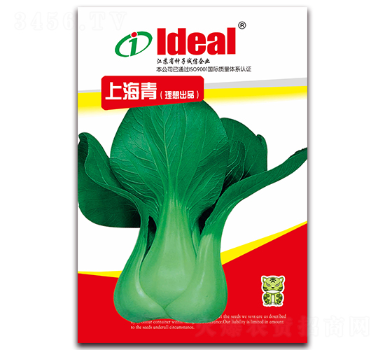 上海青-小白菜種子-理想農(nóng)業(yè)