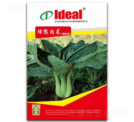 理想肉菜-小白菜種子-理想農(nóng)業(yè)