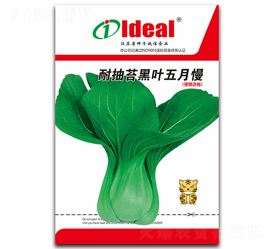 耐抽苔黑葉五月慢-小白菜種子-理想農(nóng)業(yè)