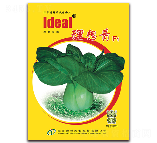 理想青-小白菜種子-理想農(nóng)業(yè)