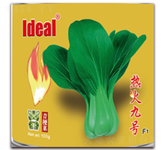 熱火九號(hào)-青梗菜種子-理想農(nóng)業(yè)