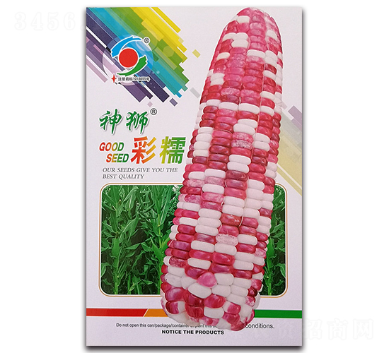 ç¥žç…å½©ç³¯-ç³¯çŽ‰ç±³ç¨®å­-æ–°ä¸–ç´€(jÃ¬)