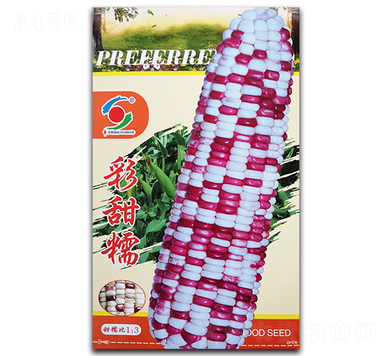 神獅彩甜糯-糯玉米種子-新世紀