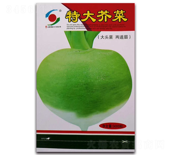 特大薺菜-水果蘿卜種子-新世紀(jì)